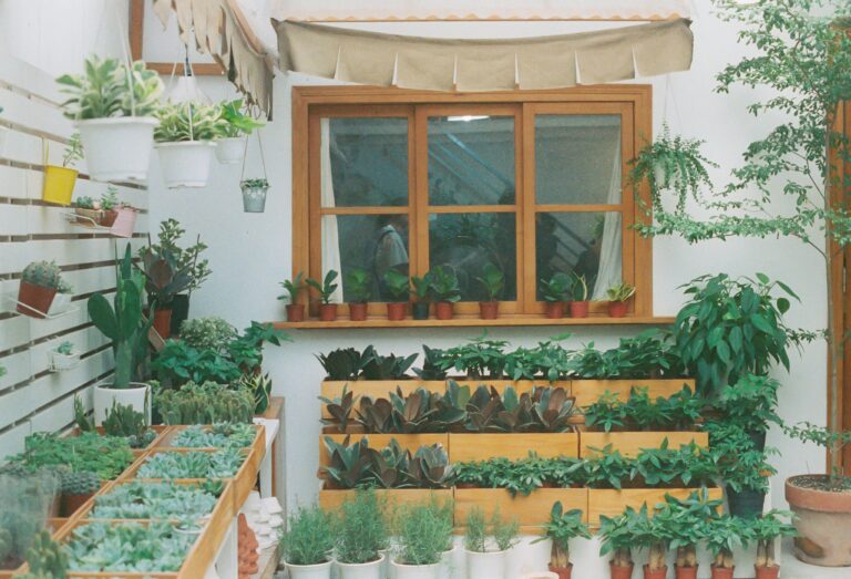 Charming indoor garden with potted succulents and herbs by a wooden window, creating a natural decor.